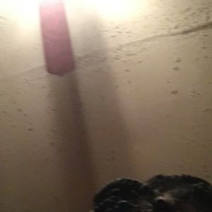 Meet your Posher, Jerri